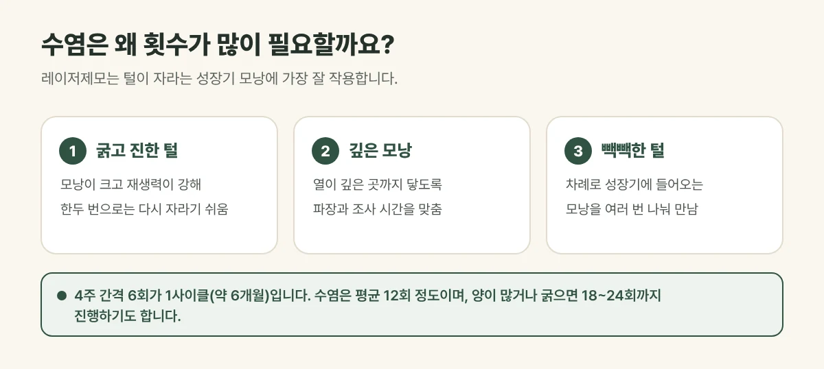 수염 레이저제모에 횟수가 많이 필요한 세 가지 이유 그림: 굵고 진한 털, 깊은 모낭, 빽빽한 털
