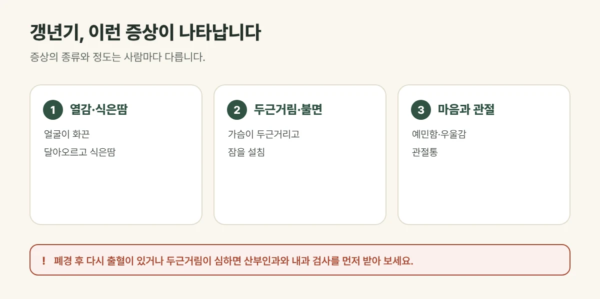 갱년기 증후군의 주요 증상 그림