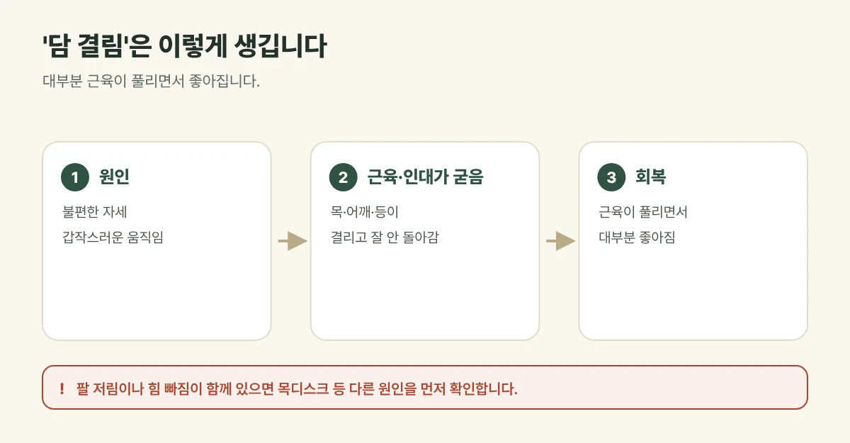 담 결림이 생기는 원인과 확인할 점 그림