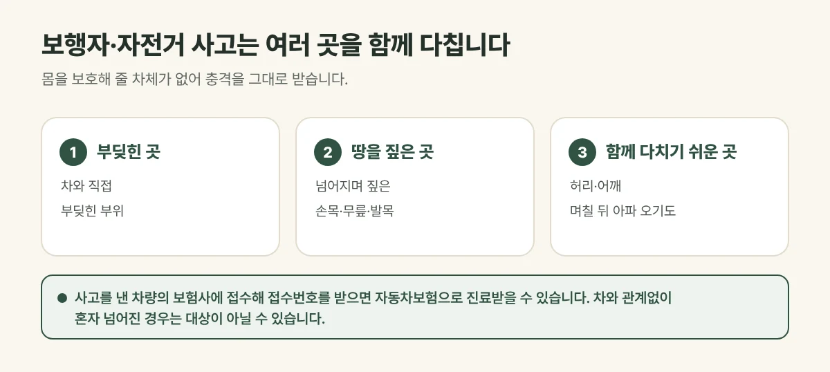 보행자·자전거 교통사고에서 다치기 쉬운 곳 그림: 부딪힌 곳, 넘어지며 짚은 손목·무릎·발목, 허리와 어깨