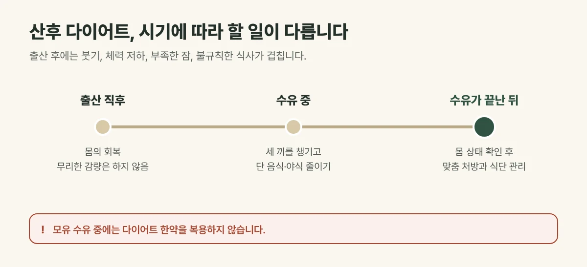 산후 다이어트 시기별 중심 그림: 출산 직후 회복, 수유 중 식사와 생활 관리, 수유가 끝난 뒤 본격적인 감량