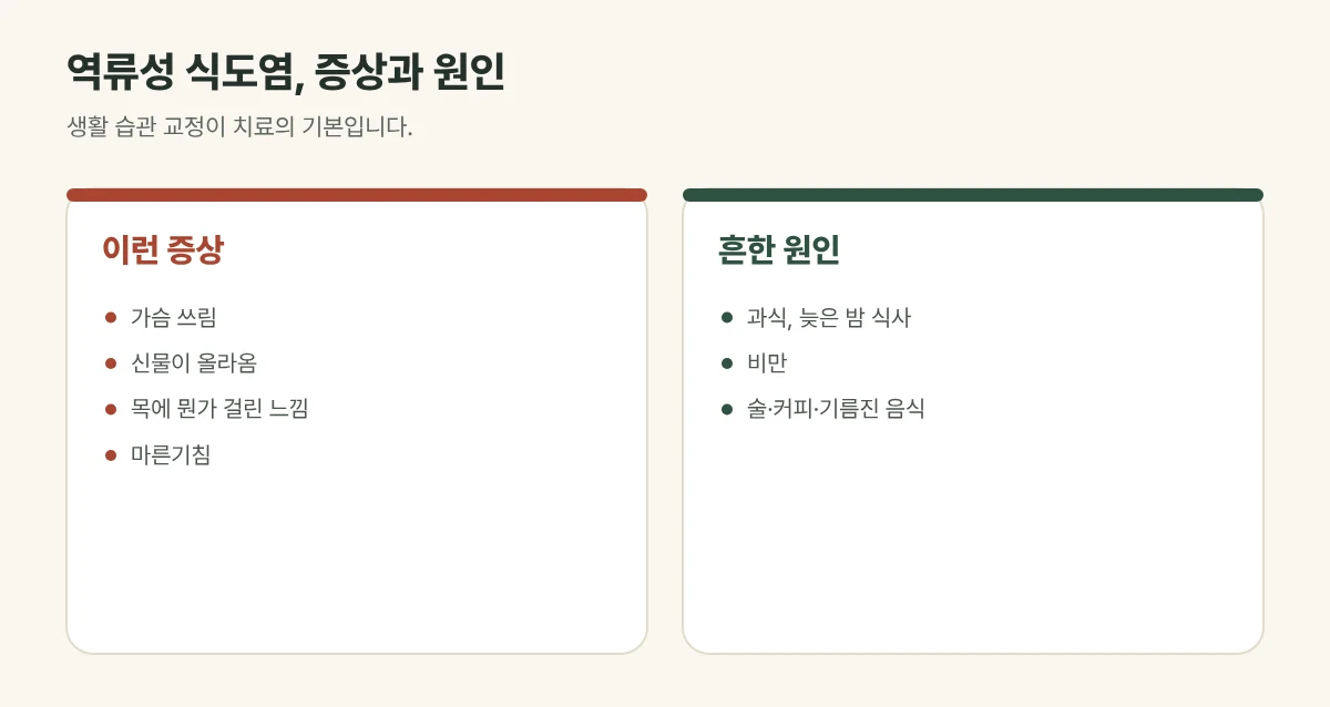 역류성 식도염 증상과 원인 그림