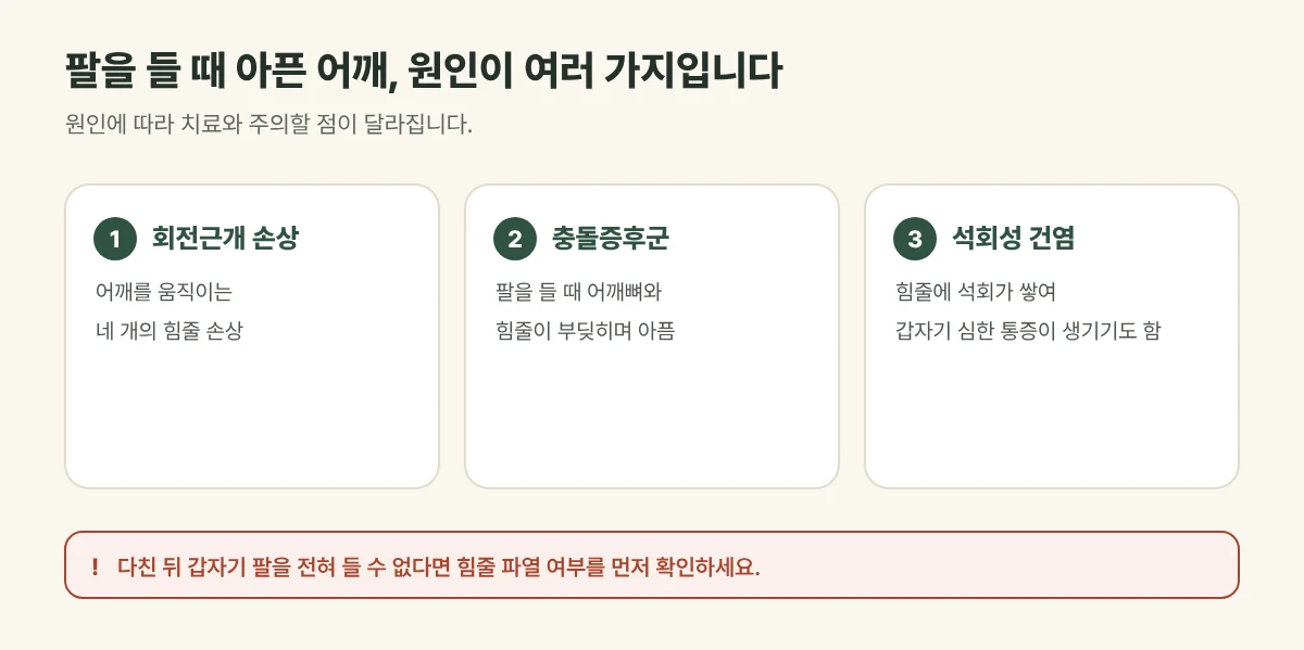 어깨 통증의 여러 원인 그림: 회전근개 손상, 충돌증후군, 석회성 건염